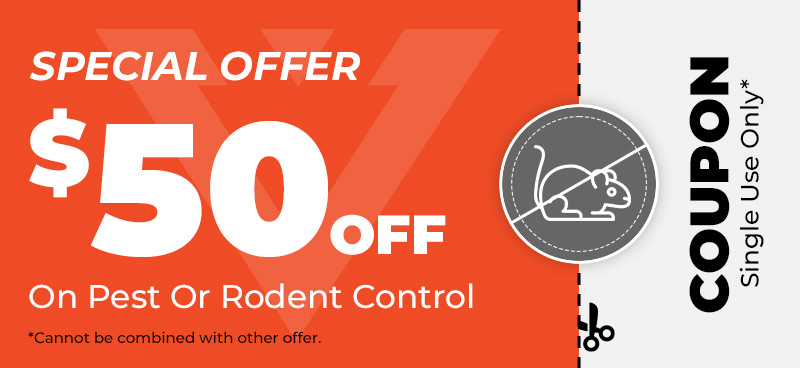 Rodents Coupon